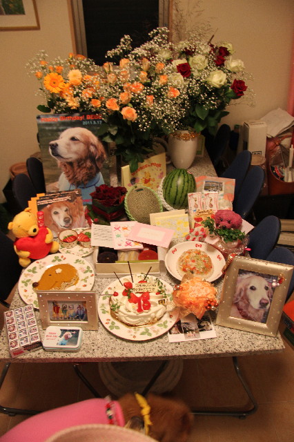 ファイル 2401-4.jpg