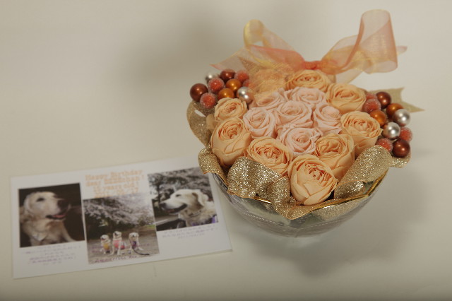 ファイル 2403-2.jpg