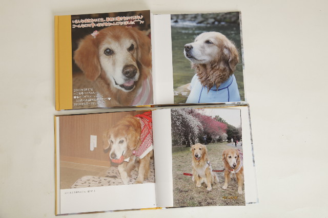 ファイル 2403-5.jpg