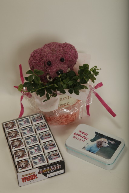 ファイル 2404-3.jpg