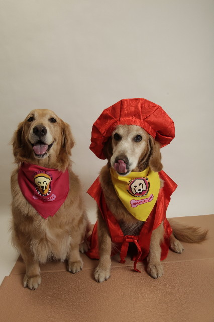 ファイル 2404-5.jpg