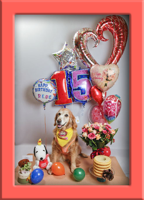 ファイル 2405-3.jpg