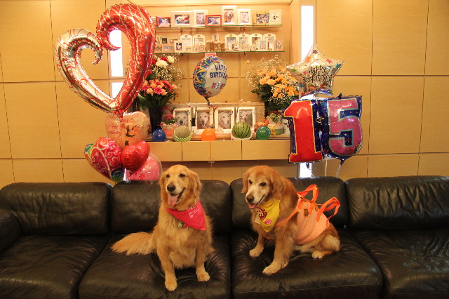 ファイル 2405-4.jpg