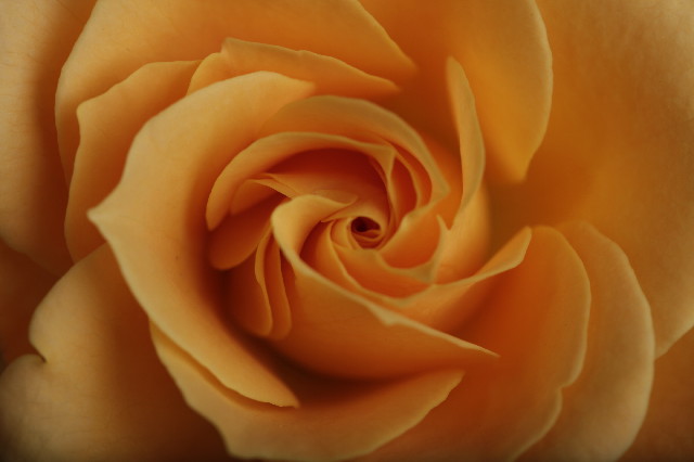 ファイル 2407-2.jpg