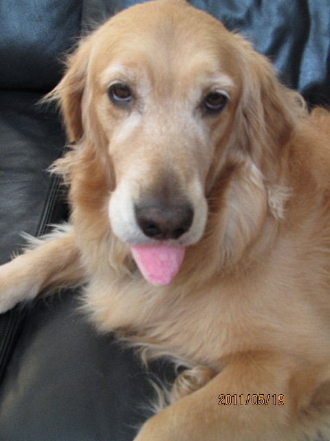 ファイル 2409-1.jpg