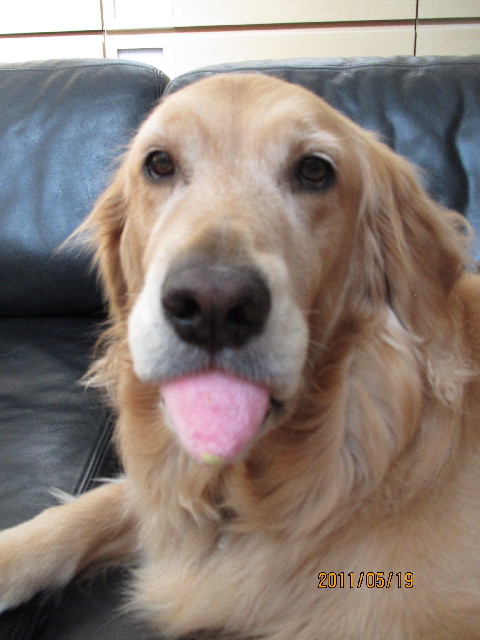 ファイル 2409-2.jpg