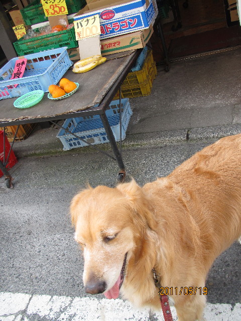 ファイル 2409-3.jpg