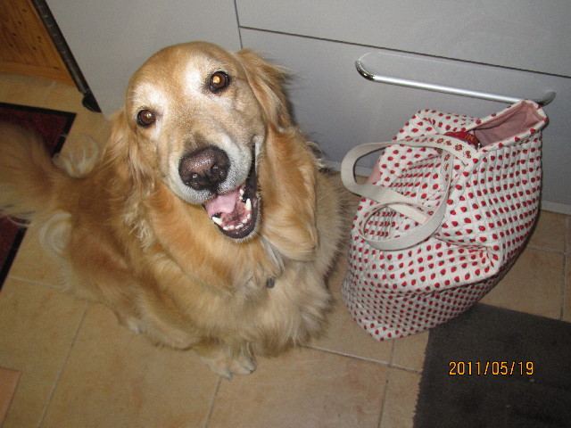 ファイル 2409-4.jpg