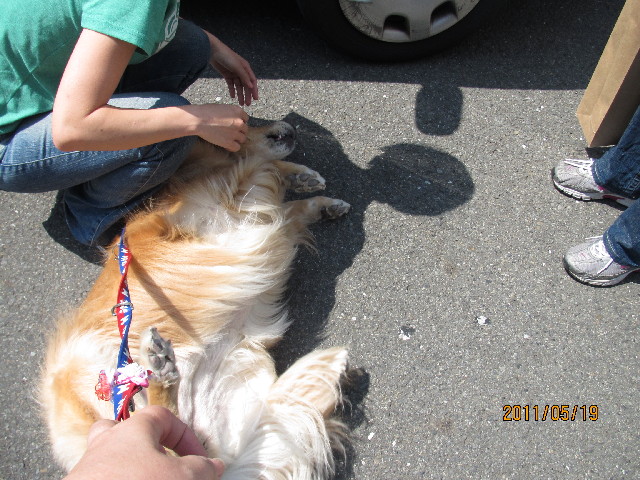 ファイル 2409-5.jpg