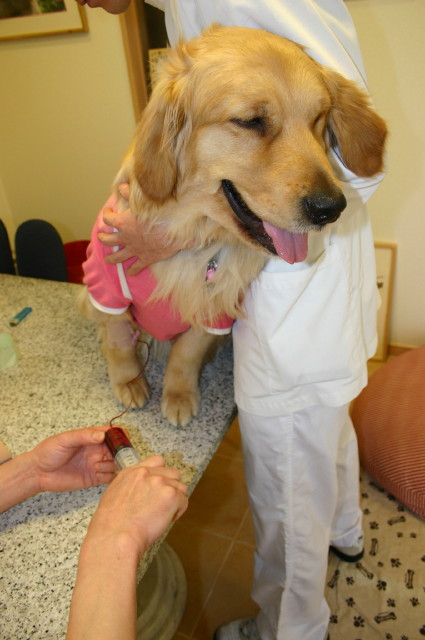 ファイル 241-2.jpg