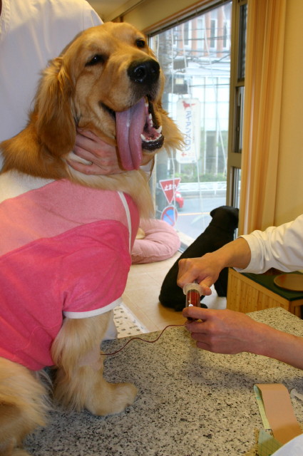 ファイル 241-3.jpg