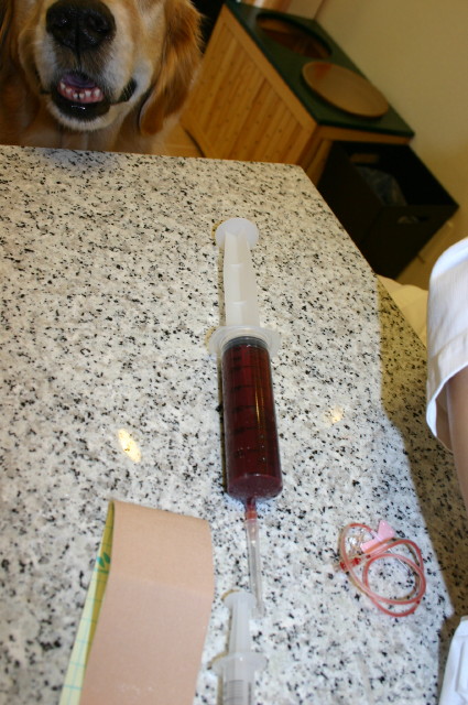 ファイル 241-4.jpg