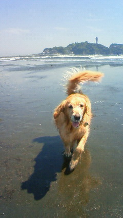 ファイル 2410-1.jpg