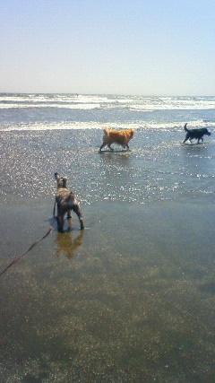 ファイル 2410-2.jpg