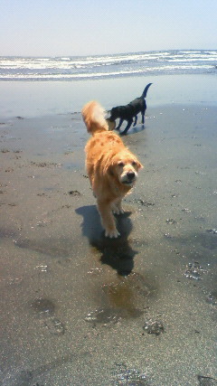 ファイル 2410-3.jpg