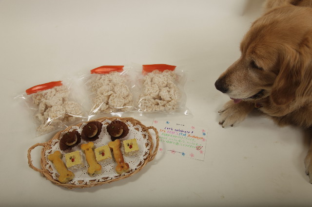 ファイル 2411-3.jpg