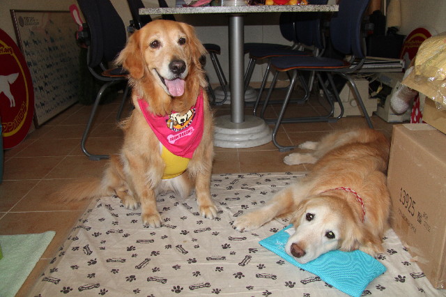 ファイル 2415-2.jpg