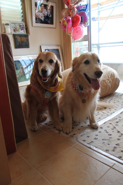 ファイル 2415-4.jpg