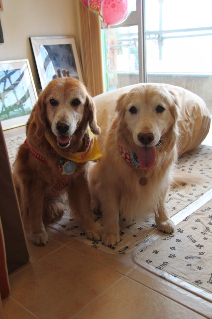 ファイル 2415-5.jpg