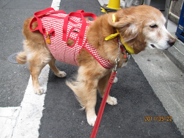 ファイル 2416-1.jpg