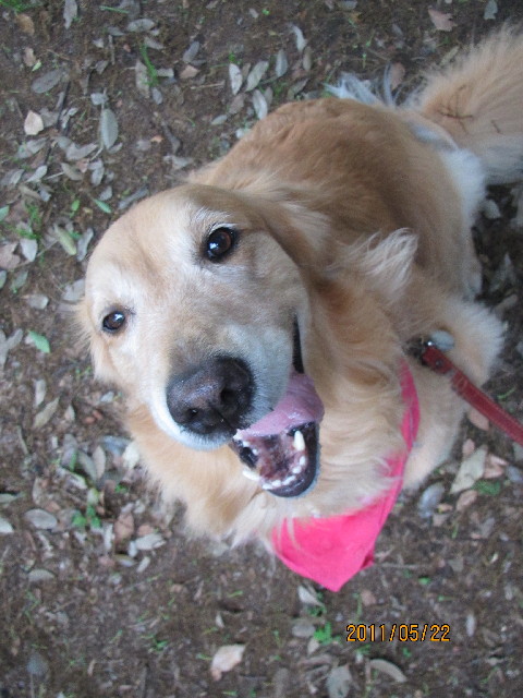 ファイル 2416-2.jpg