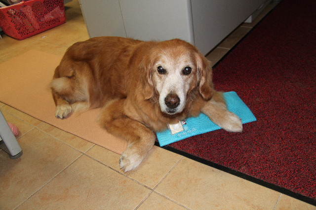 ファイル 2416-3.jpg