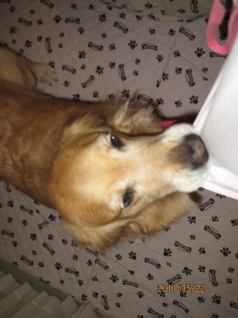 ファイル 2416-5.jpg