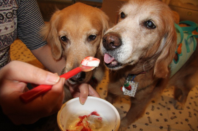 ファイル 2418-2.jpg