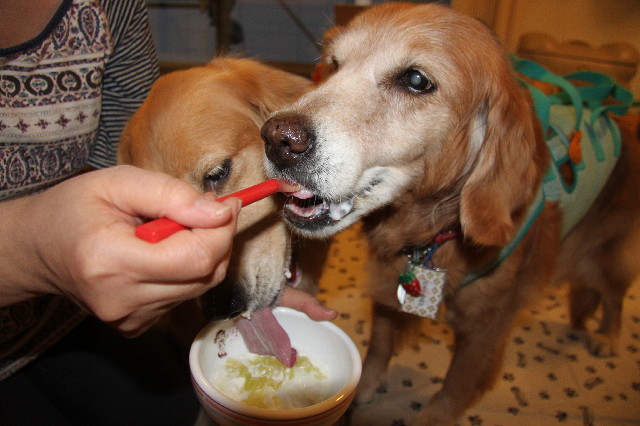 ファイル 2418-3.jpg