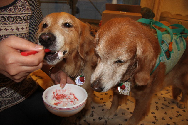 ファイル 2418-4.jpg