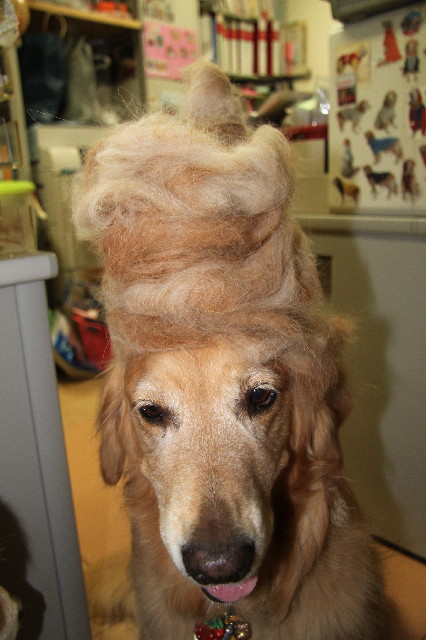 ファイル 2419-5.jpg