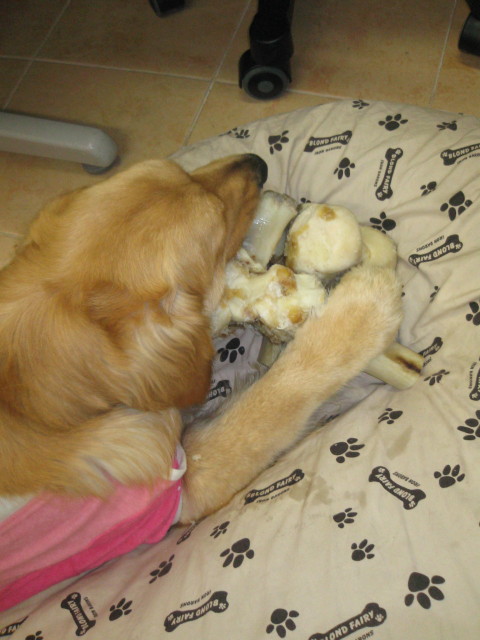 ファイル 242-2.jpg