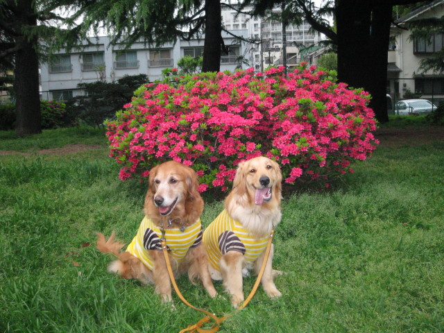 ファイル 242-4.jpg