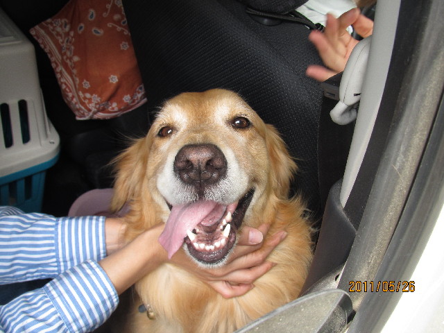 ファイル 2423-3.jpg