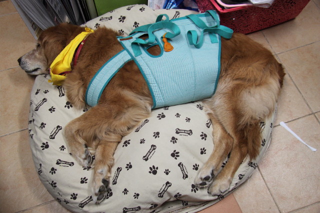 ファイル 2424-1.jpg