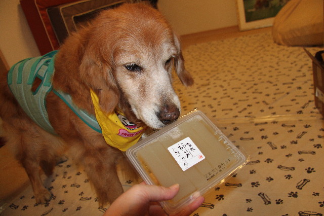 ファイル 2424-2.jpg