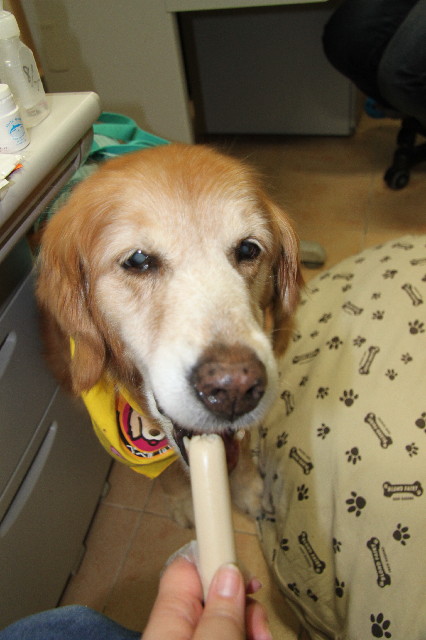 ファイル 2424-3.jpg