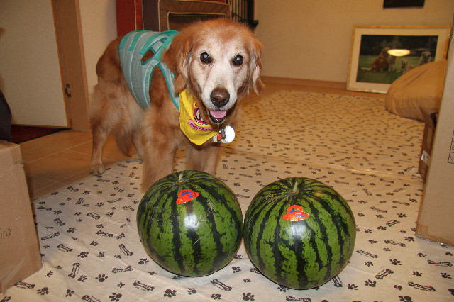 ファイル 2424-5.jpg