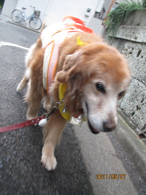 ファイル 2425-4.jpg