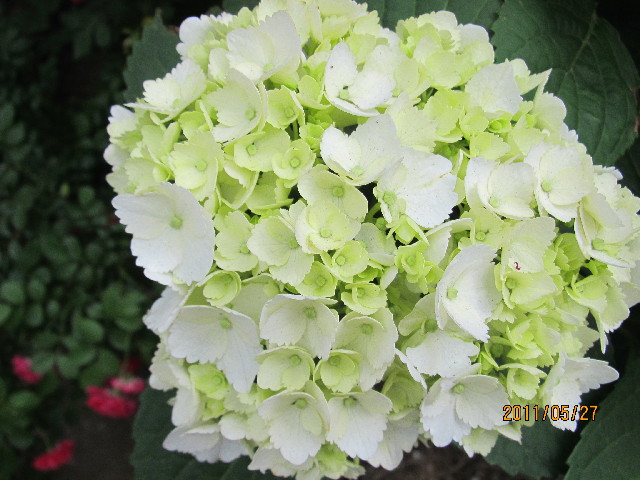 ファイル 2426-5.jpg