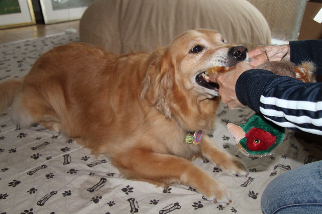 ファイル 2429-4.jpg