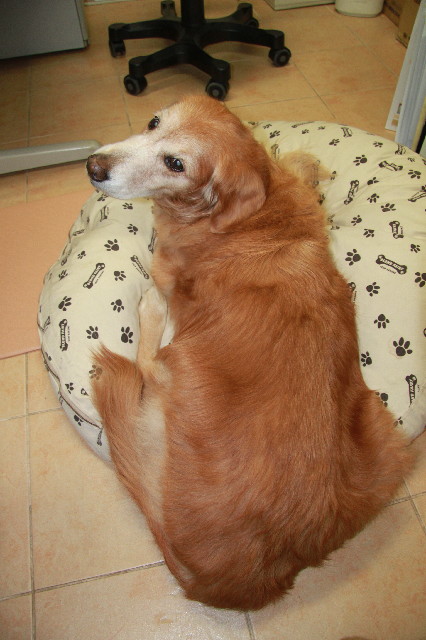 ファイル 2429-5.jpg