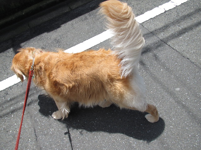 ファイル 2435-4.jpg