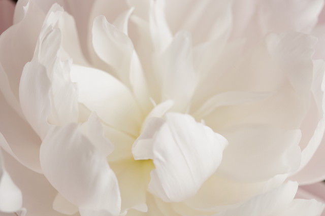 ファイル 2437-3.jpg