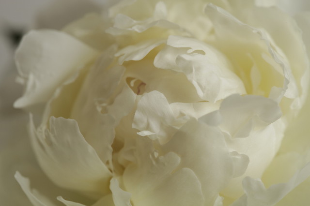 ファイル 2437-4.jpg