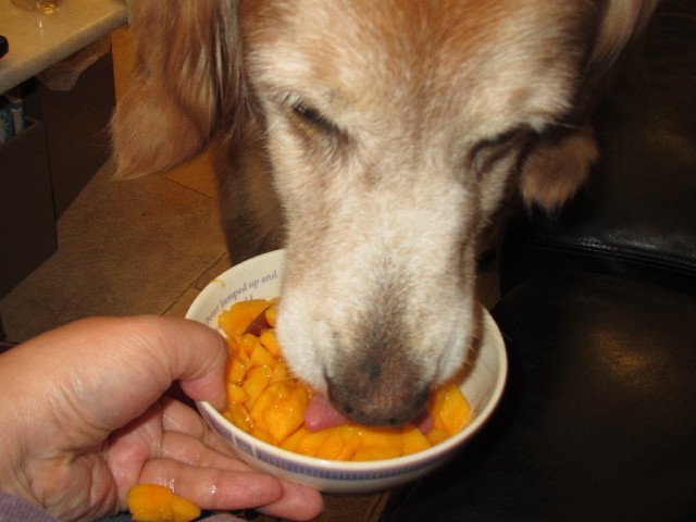 ファイル 2438-4.jpg