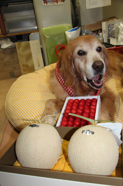 ファイル 2439-3.jpg