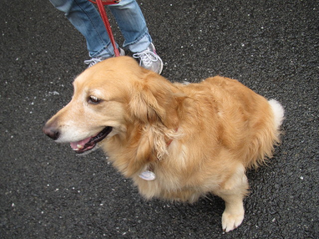 ファイル 2439-5.jpg