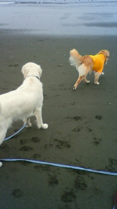 ファイル 2440-1.jpg