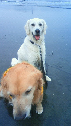 ファイル 2440-4.jpg